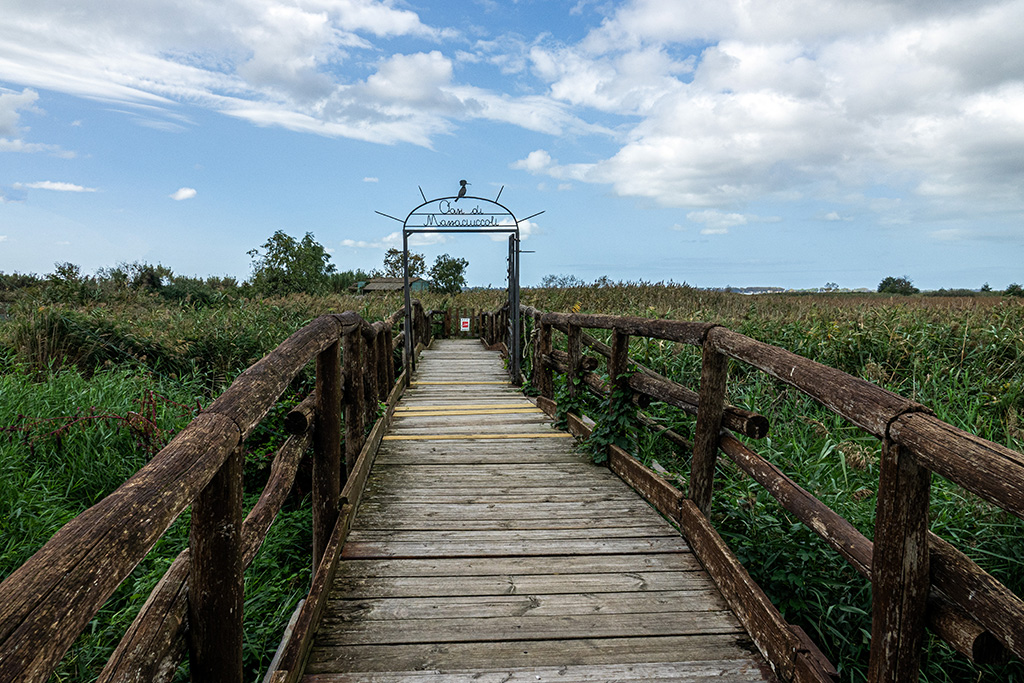 10- OASI LIPU MASSACIUCCOLI.jpg